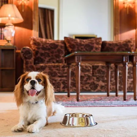 酒店 Du Palais Biarritz, In The Unbound Collection By Hyatt 比亚里茨