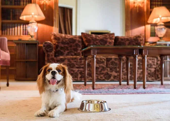 מלון Du Palais Biarritz, In The Unbound Collection By Hyatt ביאריץ